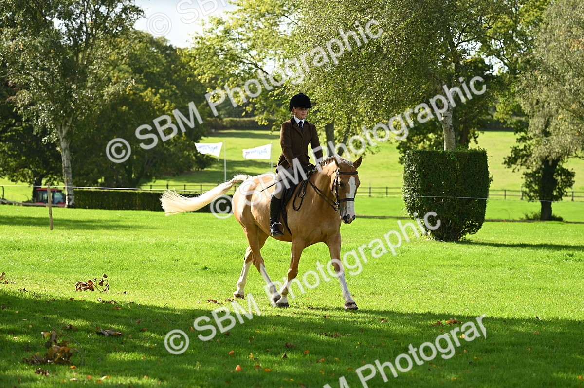 SBM_01536 - S2 - TSR Ridden Horse Showing