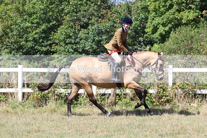 3E7A6495 - Working Hunter Championship