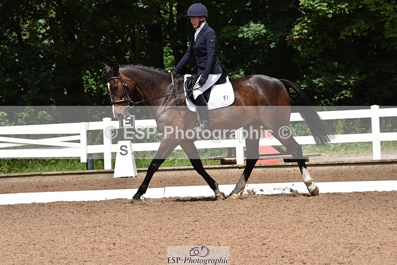 240706A-131124-02544 - Cls 4A Snr Novice 24