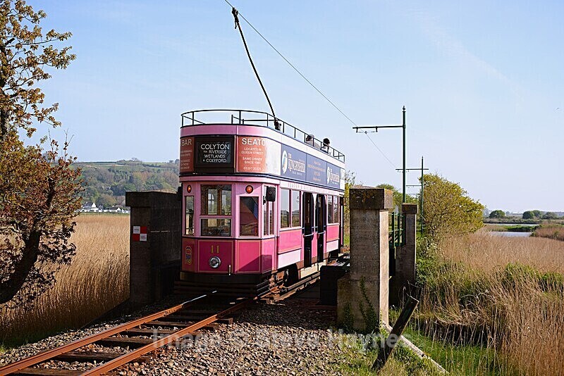27th April 2025 - Seaton Tramway, Devon
