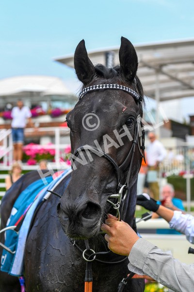 100923-Race 2-Florida-0571 - Race 2 2.15pm John And Judith Marshall Memorial Handicap
