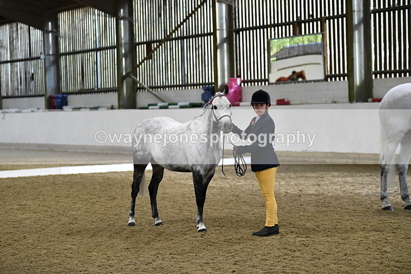 WJ5_3961 - Class 2 Best Condition In hand