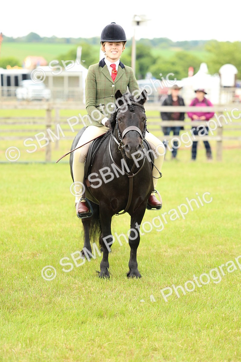SBM_10395 - Class 44-45 - LIHS BSPS Open Nursery and Cradle Stakes