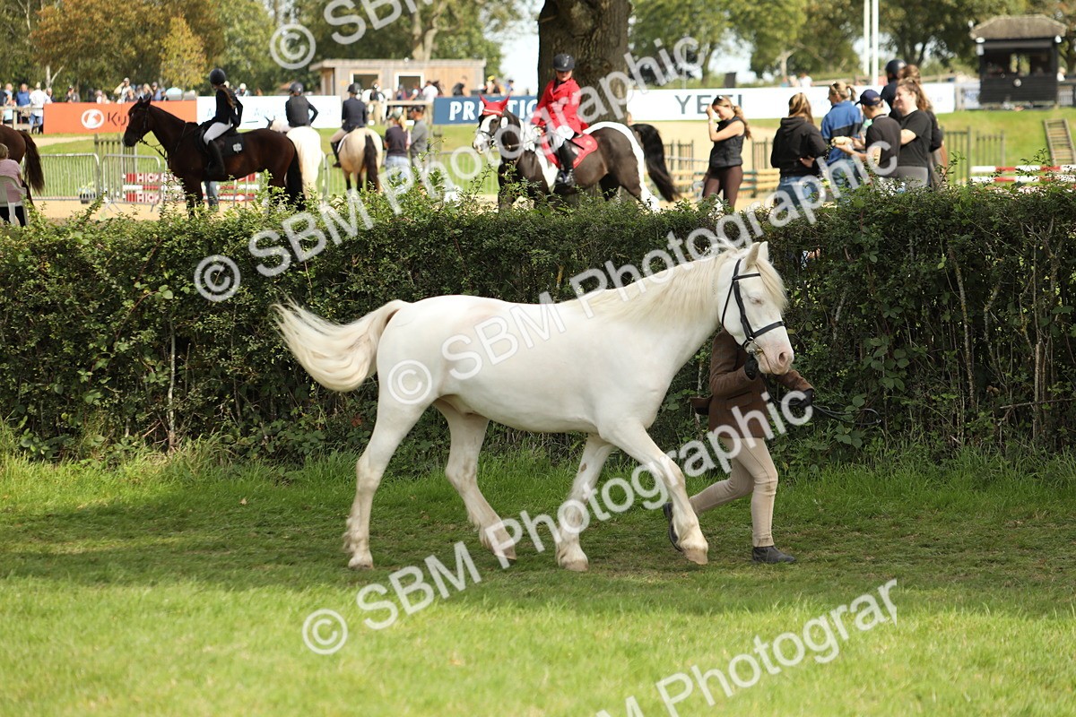 SBM_67738 - S39 - Junior Handler 8  Years & Under