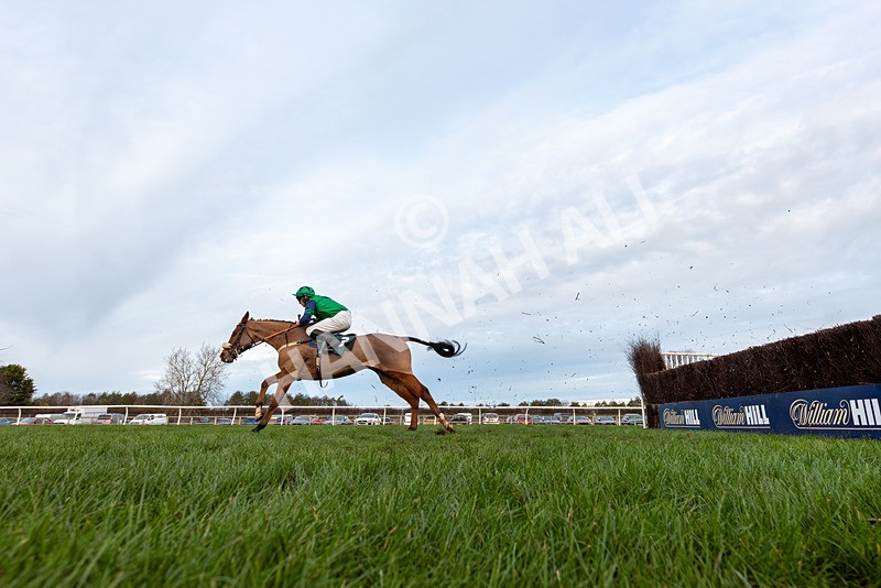 211125-Race 6-Aboutdamntime-3331 - Race 6