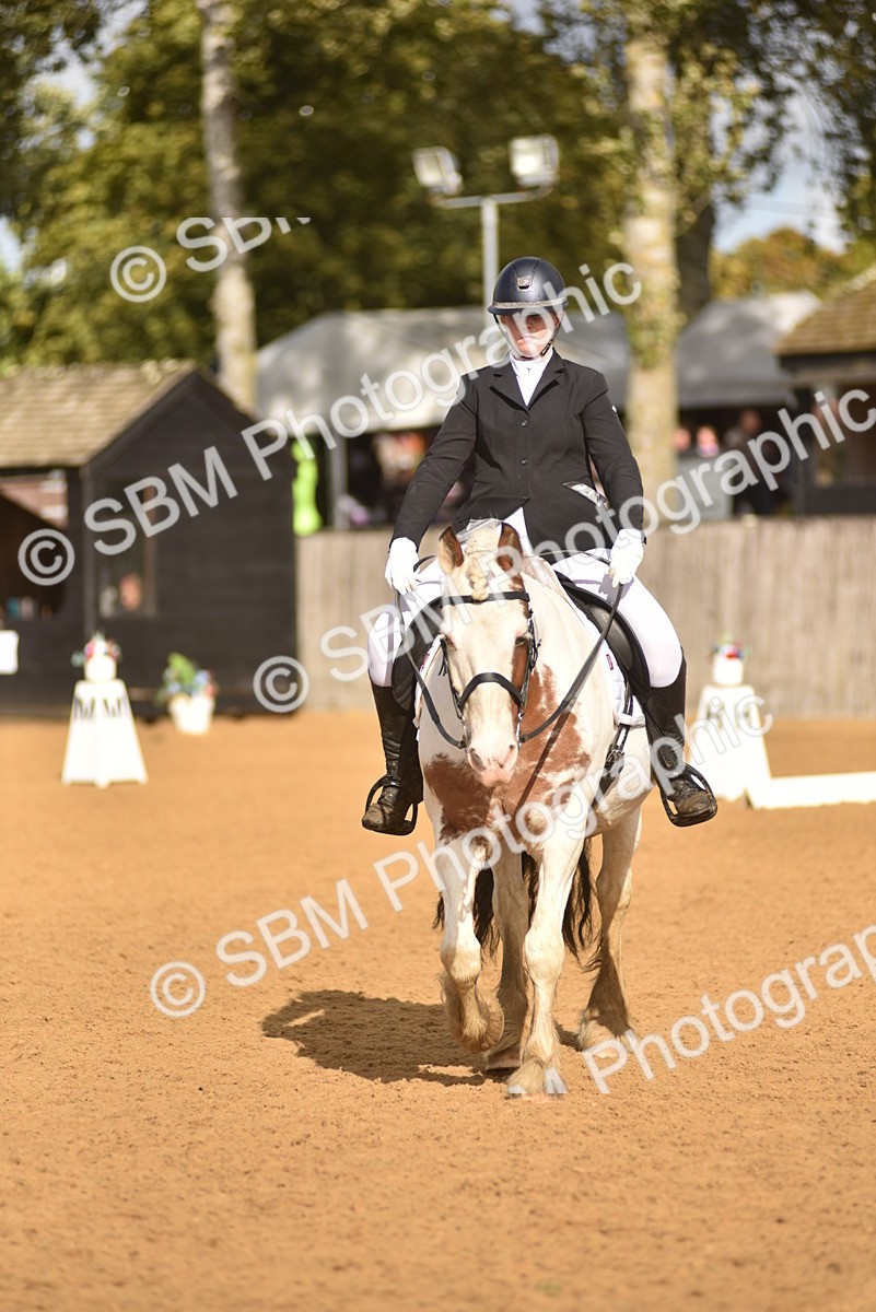 SBM_48872 - D22 - Junior Championship Intro 3