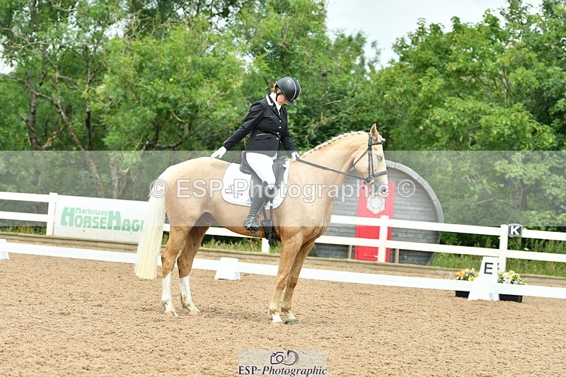 230701A-123701-05769 - Cls 7 Elementary 45