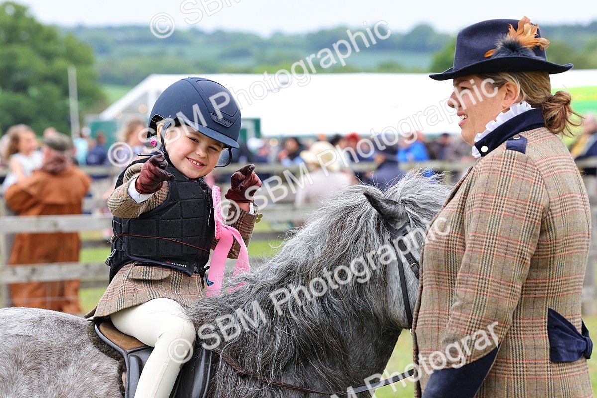 SBM_08397 - Class 42-43 - LIHS BSPS Heritage Working Sports Pony