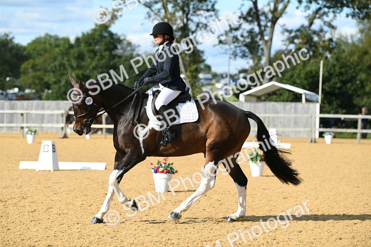 SBM_27026 - D16 - Small Tour Championship - Novice 28