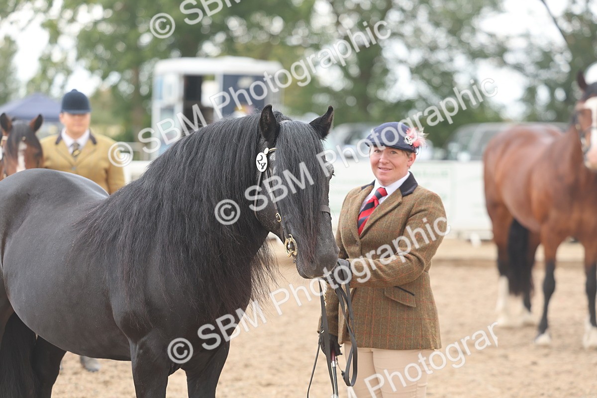 SBM_03241 - Class 16 - IH M&M Wildcard