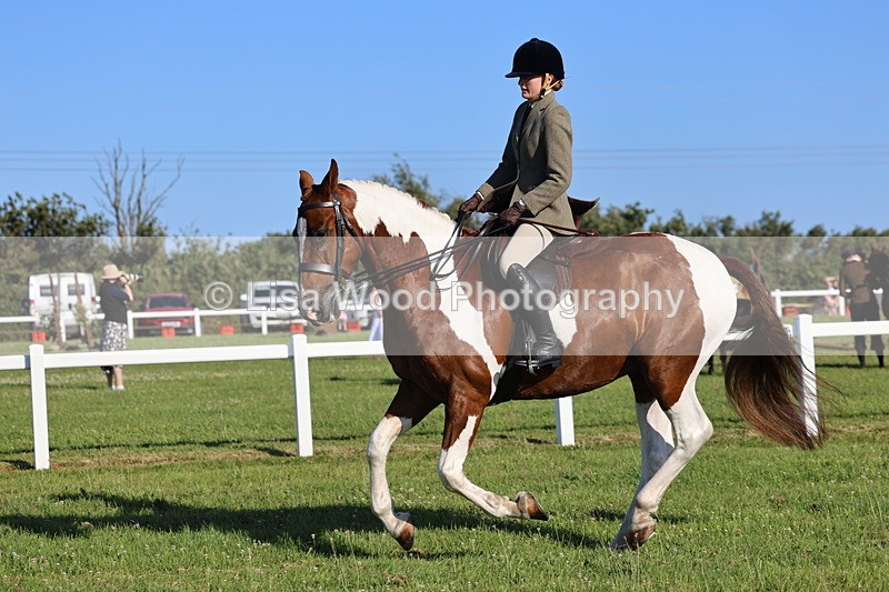 IMG_1246 - Class 27: Ridden Plaited Coloured Horse