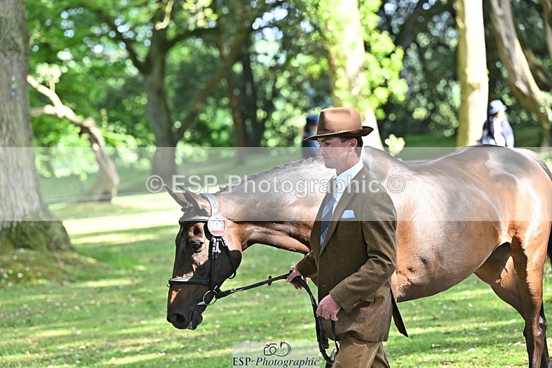 250521A-155052-00798 - B-373-Ben.Lee.Liles-FINCH.FANCY