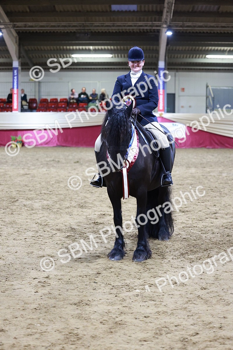SBM_20913 - Class M - Equitation Champ