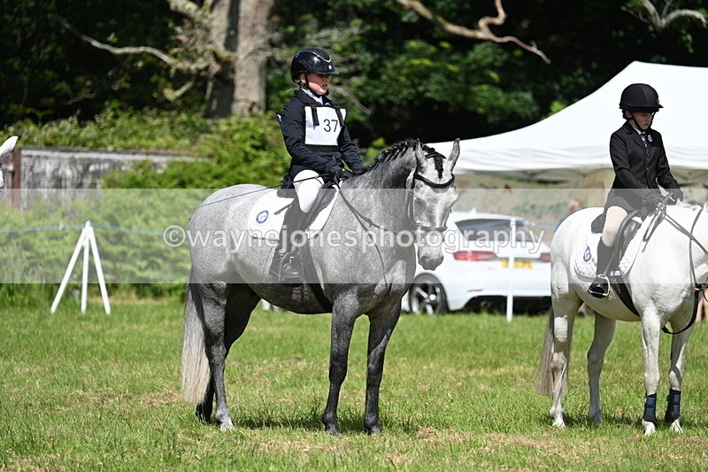 WJ7_1744 - Class 9 Pony Club Pony