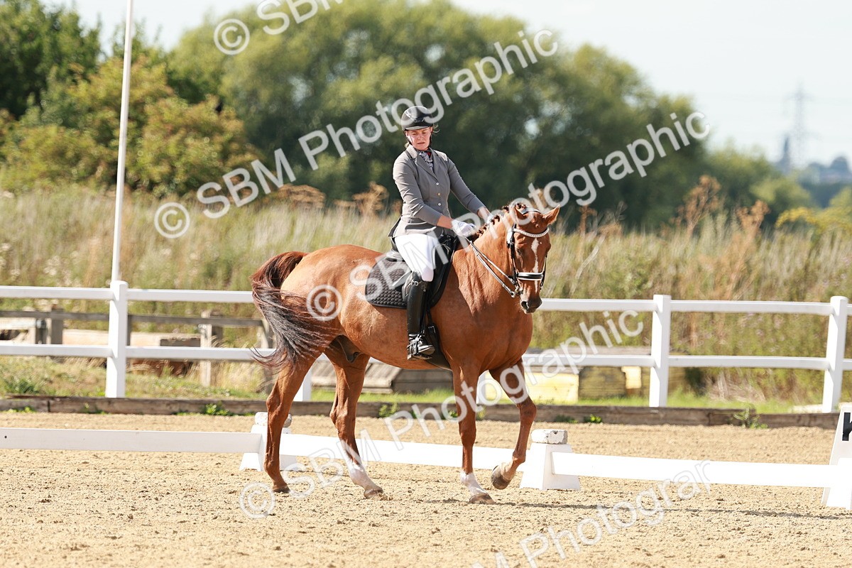 SBM_002553 - Class 11 - Medium 6