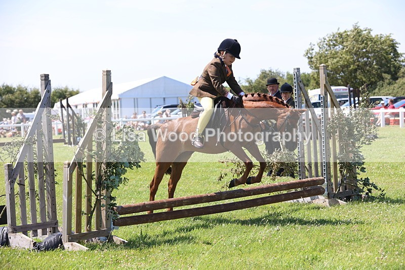 JPP_2249 - Class 20: Tiny Tots Working Hunter Pony
