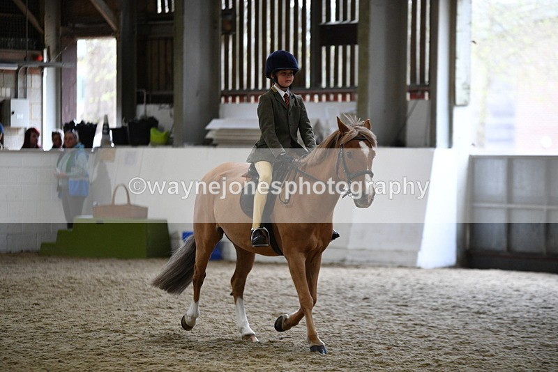 WJ5_7256 - Class 11 Ridden PC - RC Pony