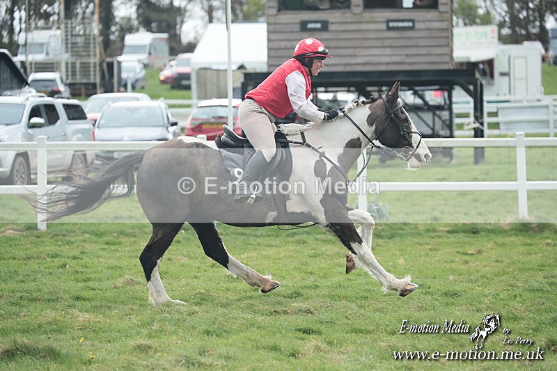 PtP 230324 153 - Tedworth Hunt PtP Larkhill Raccourse 23rd March 2024