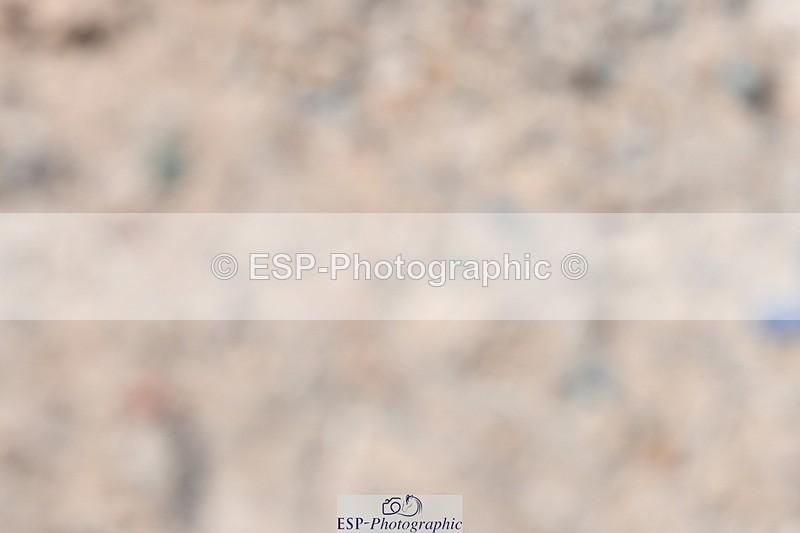 230520A-145300-01538 - Cls 7 Novice 34