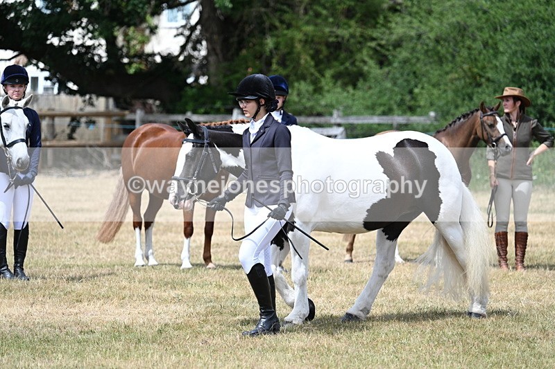 WJ7_1726 - Class 4 Prettiest Mare up to 14.2hh in hand