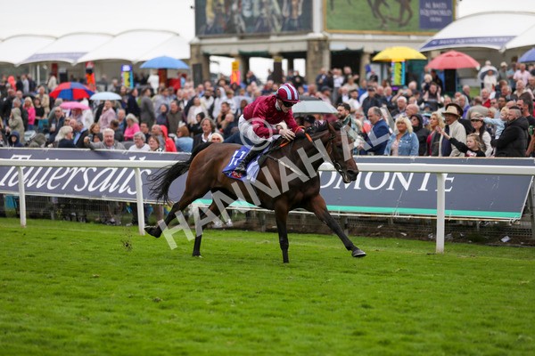 210824-Race 5-Extensio-7410 - Race 5 4.10pm Sky Bet Stayers Handicap