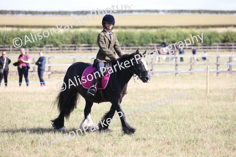 20260906-2175 - Class 16 - Family Pony