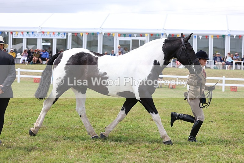 3E7A2111 - Class 10: Open Cob
