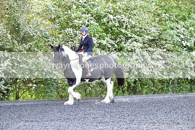 WJ7_7345 - Time 09:00 to 09:35