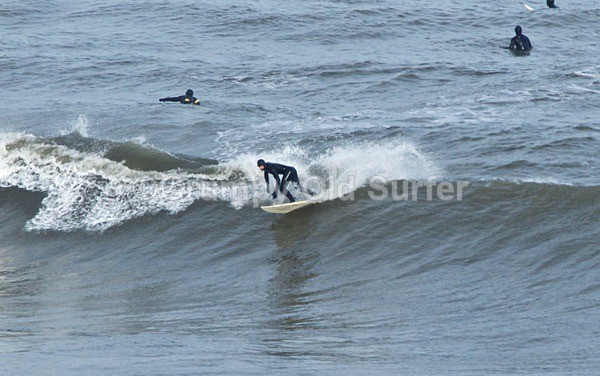 DSC_4081 - Cayton Point 30th October 2017