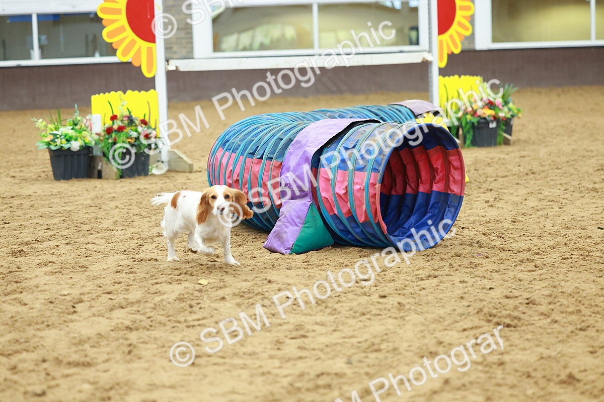 SBM_002529 - Class 3 - Horse & Hound (60cm)