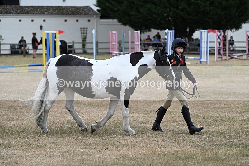 WJ7_8272 - Class 4 Prettiest Mare up to 14.2hh