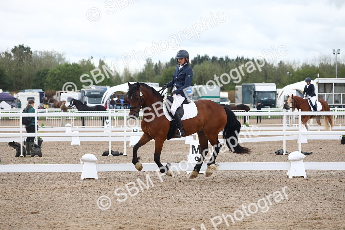 SBM_00463