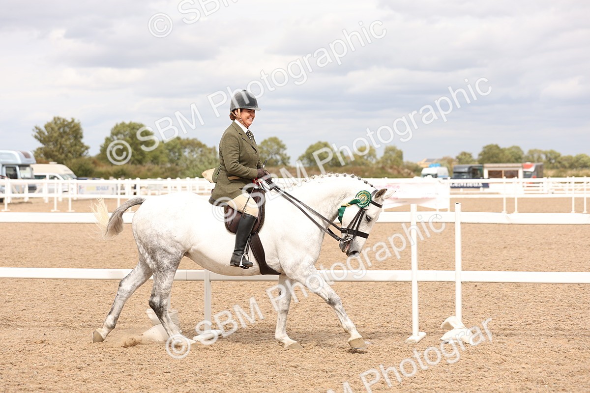 SBM_16538 - Class 212 - Ridden Hunter - Small