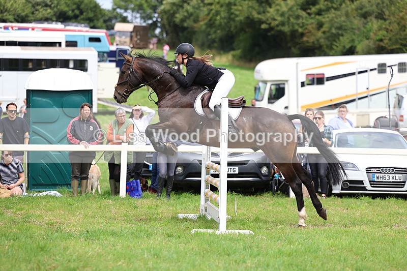 3E7A6913 - Class 5: Senior British Novice/90cm open