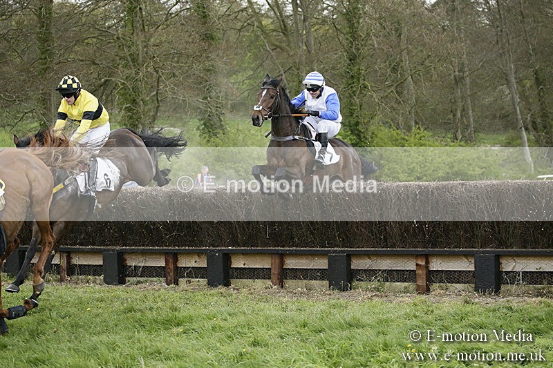 PtP 170417 514 - Old Berks Point-to-Point Lockinge 17/04/17