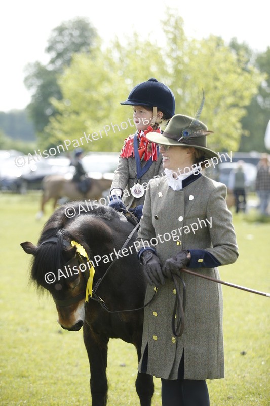 20260426-1894 - Class 7 - Pony Judge Would Most Like To Take Home