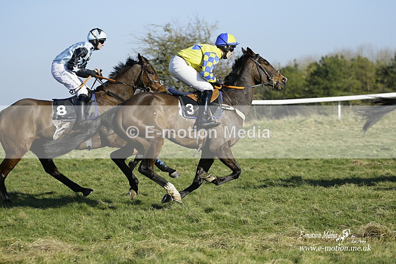 PtP 270222 208 - South & West Wilts Point-to-Point Larkhill 27/02/22