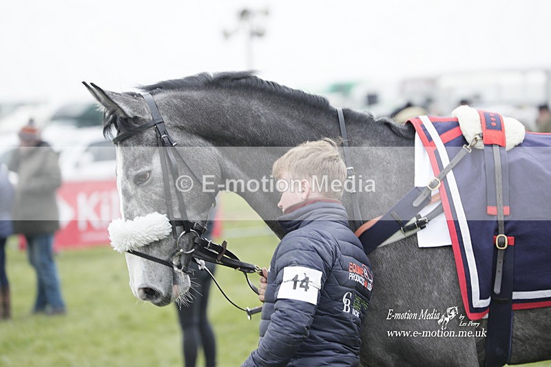 PtP 050323 237 - Blackmore & Sparkford Vale Hunt PtP - Somerset 05/03/23