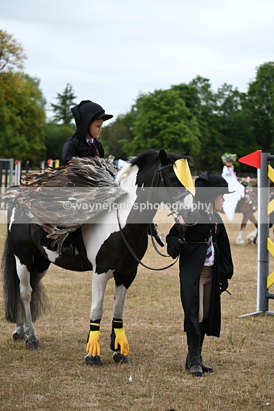 WJ6_8951 - Class 11 Fancy Dress