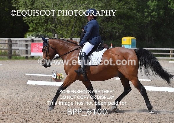 BPP_6100 - 24 L HAMILTON