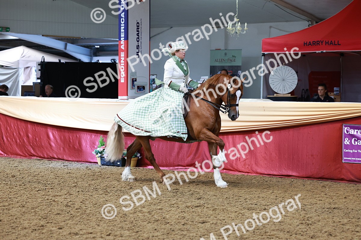 SBM_13837 - Class 106 - Ridden Costume -Astride Adult (15-19)