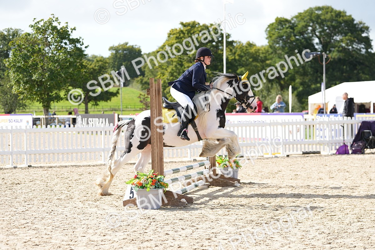 SBM_16901_J58 - Clear Round 50cm - Kelly