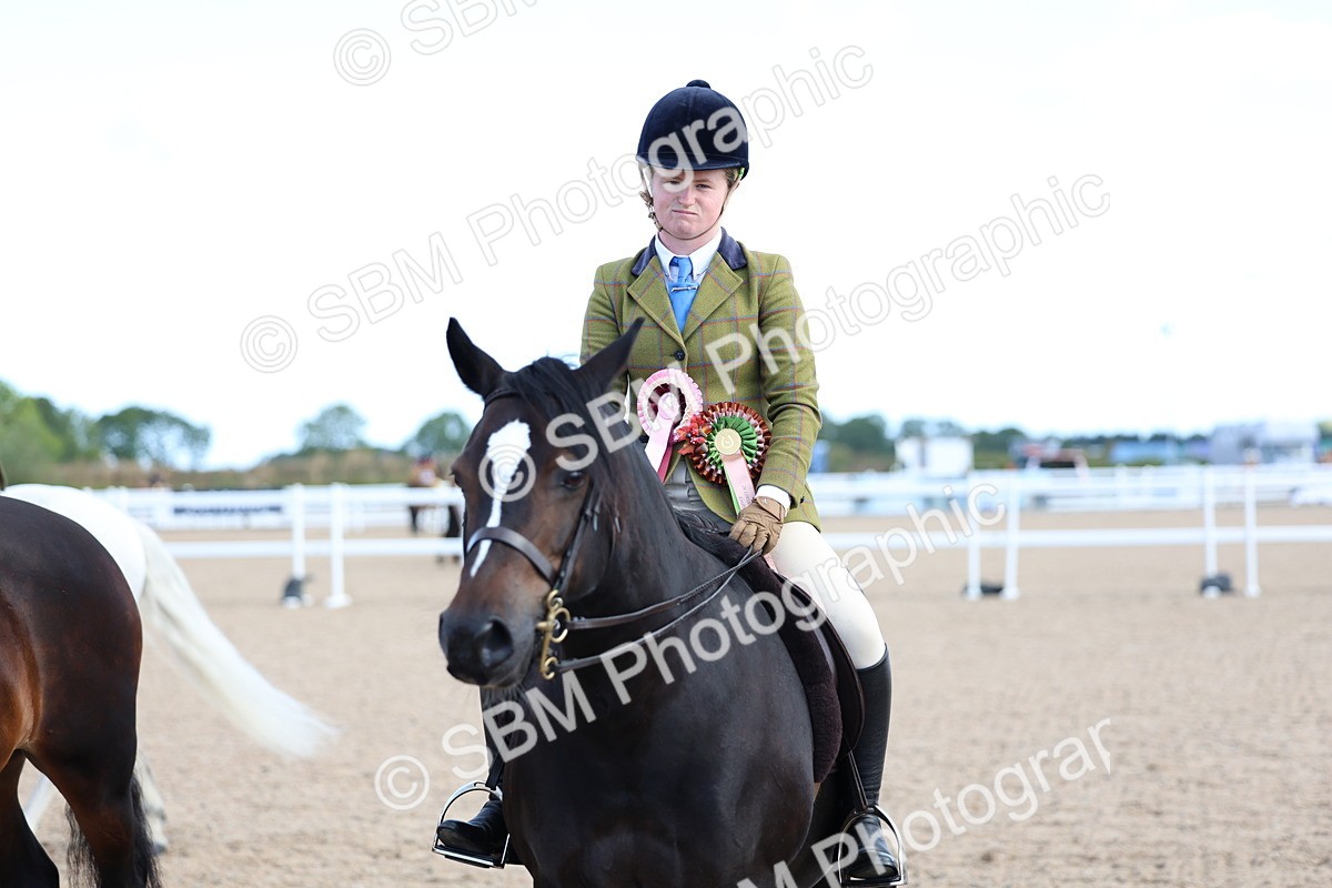 SBM_08973 - Class 302 - Ridden M&M - Large Breeds