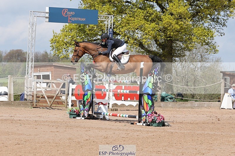 250427-113801-16021 - Cls 36 Young Horse 7yr old