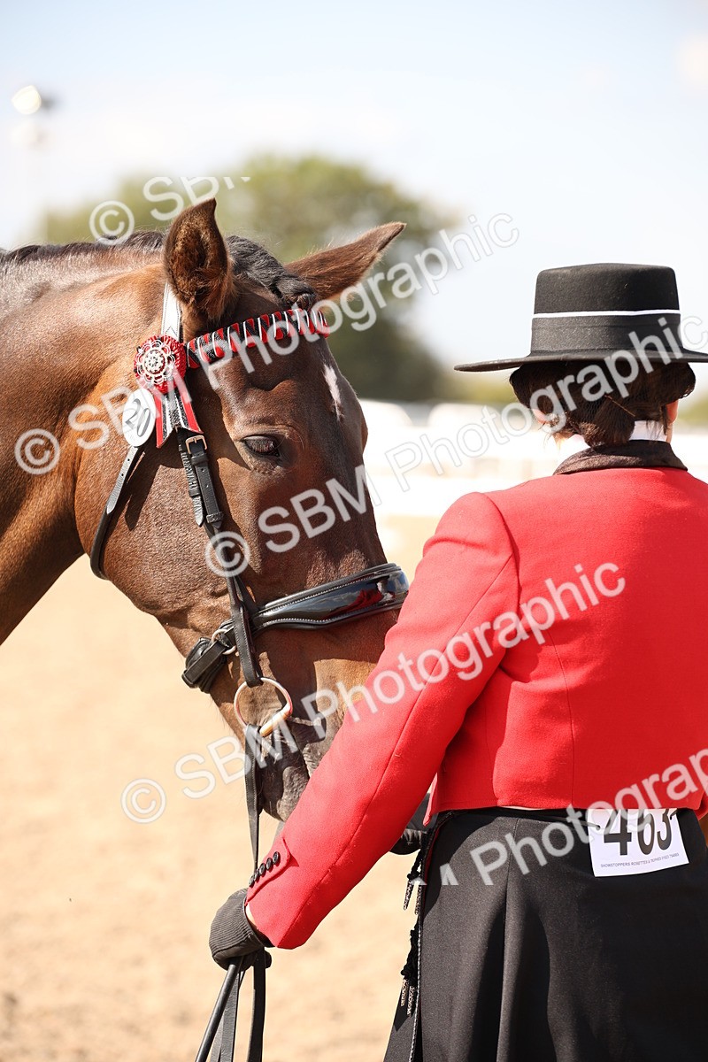 SBM_07429 - Class 26 IH Foreign Breeds -Part bred