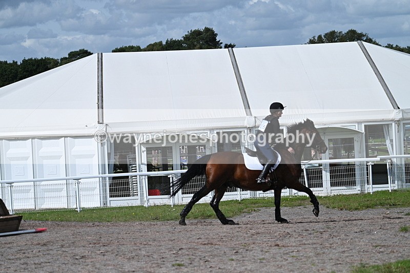 WJ7_1973 - Time 13:17 to 13:53