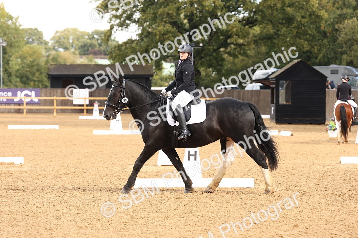 SBM_40565 - D6 - Small Tour Championship Intro 4