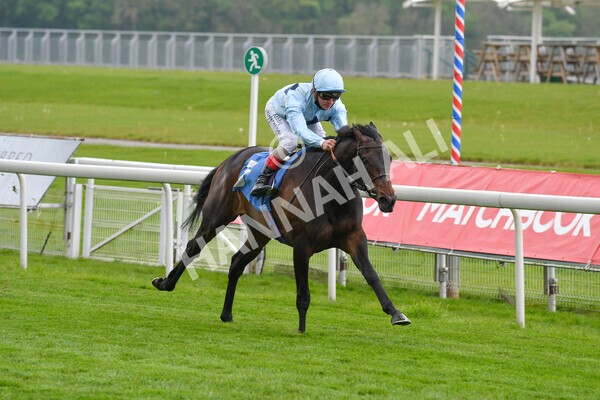 yr14052021r2-9 - Race 2 2.10pm Oak Farm Stables Fillies' Stakes (registered as the Michael Seely Memorial Stakes)