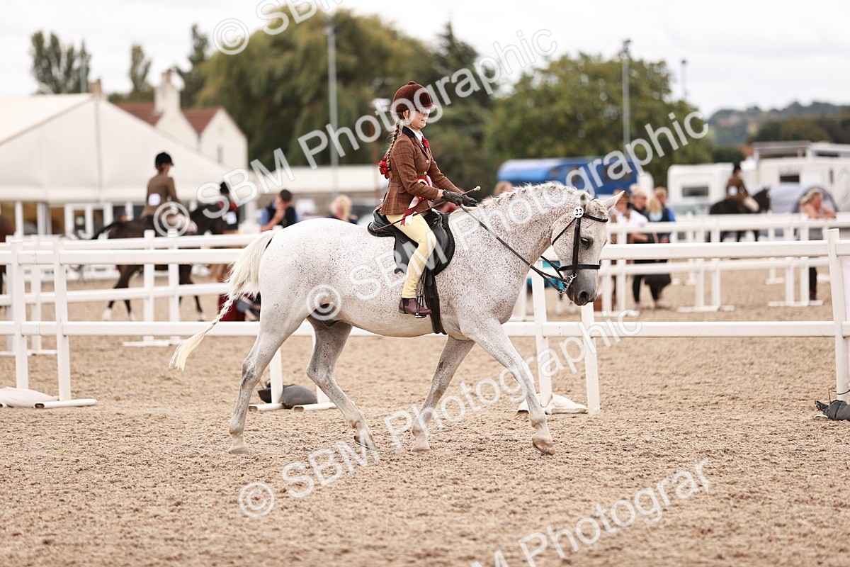 SBM_18634 - Class 421 - Childs Best Friend - Jnr