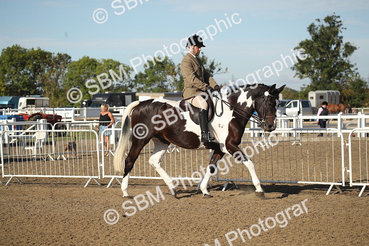 SBM_11258 - Class 501 -Riding Club Pony